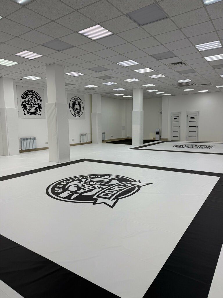 Зал и тренировки клуба «Союз BJJ», Омск