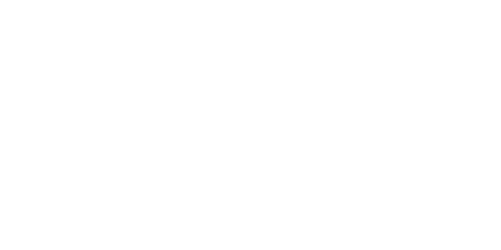 Логотип клуба StoneGuard