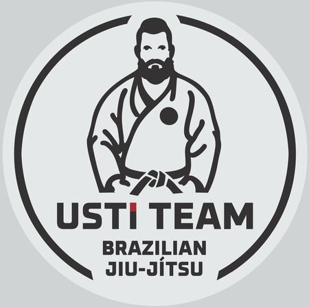 Логотип Usti Team